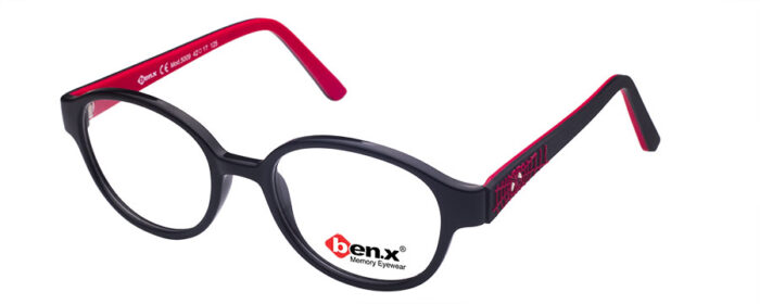 BXASTS5009-E0601 IMG