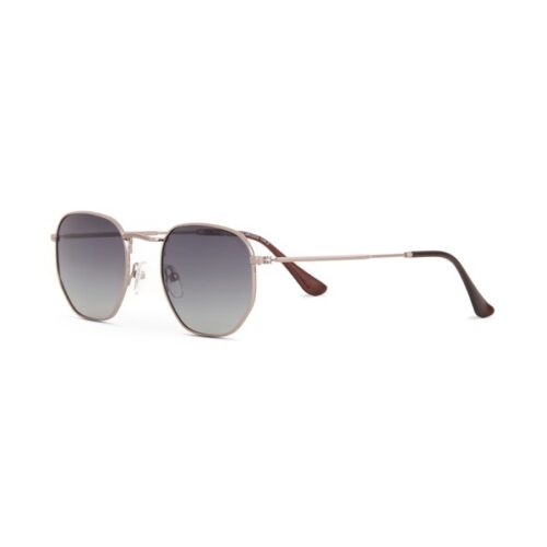 DESPADA DS 2391 C 2 SUNGLASSES