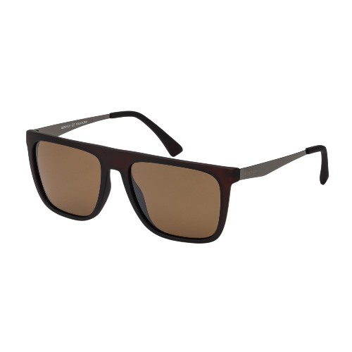 DESPADA DS 2160 C 3 SUNGLASSES