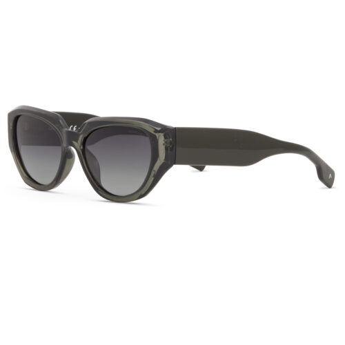 DESPADA DS 2402 C 2 SUNGLASSES