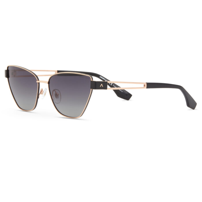 DESPADA DS 2410 C 1 SUNGLASSES